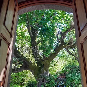 Apartmán El Alto, Moya (Gran Canaria)